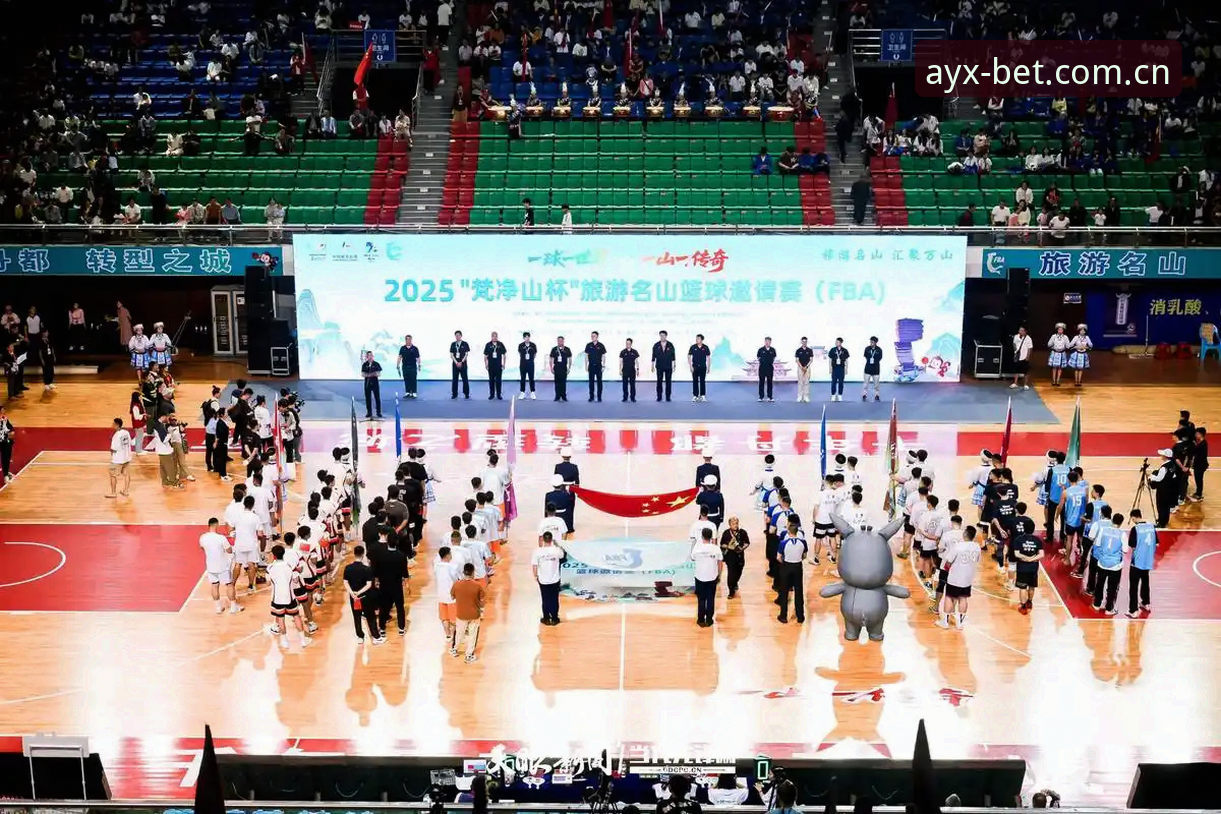 AYX体育平台2025版网页端登录与官方下载完整指南